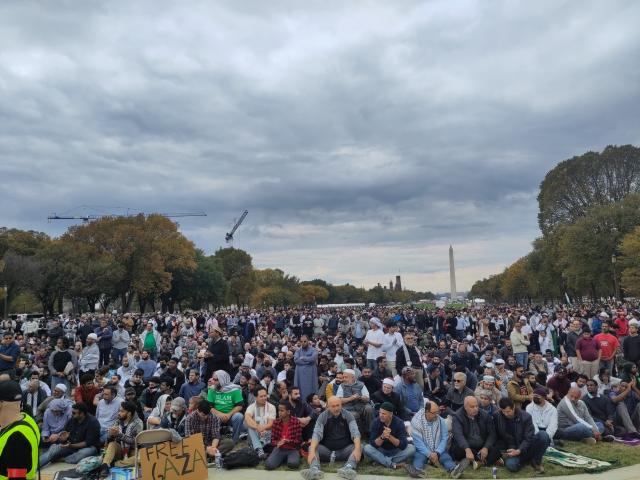 Crowd of thousands in front of the Washington Monument with a Free Gaza sign on cardboard in front