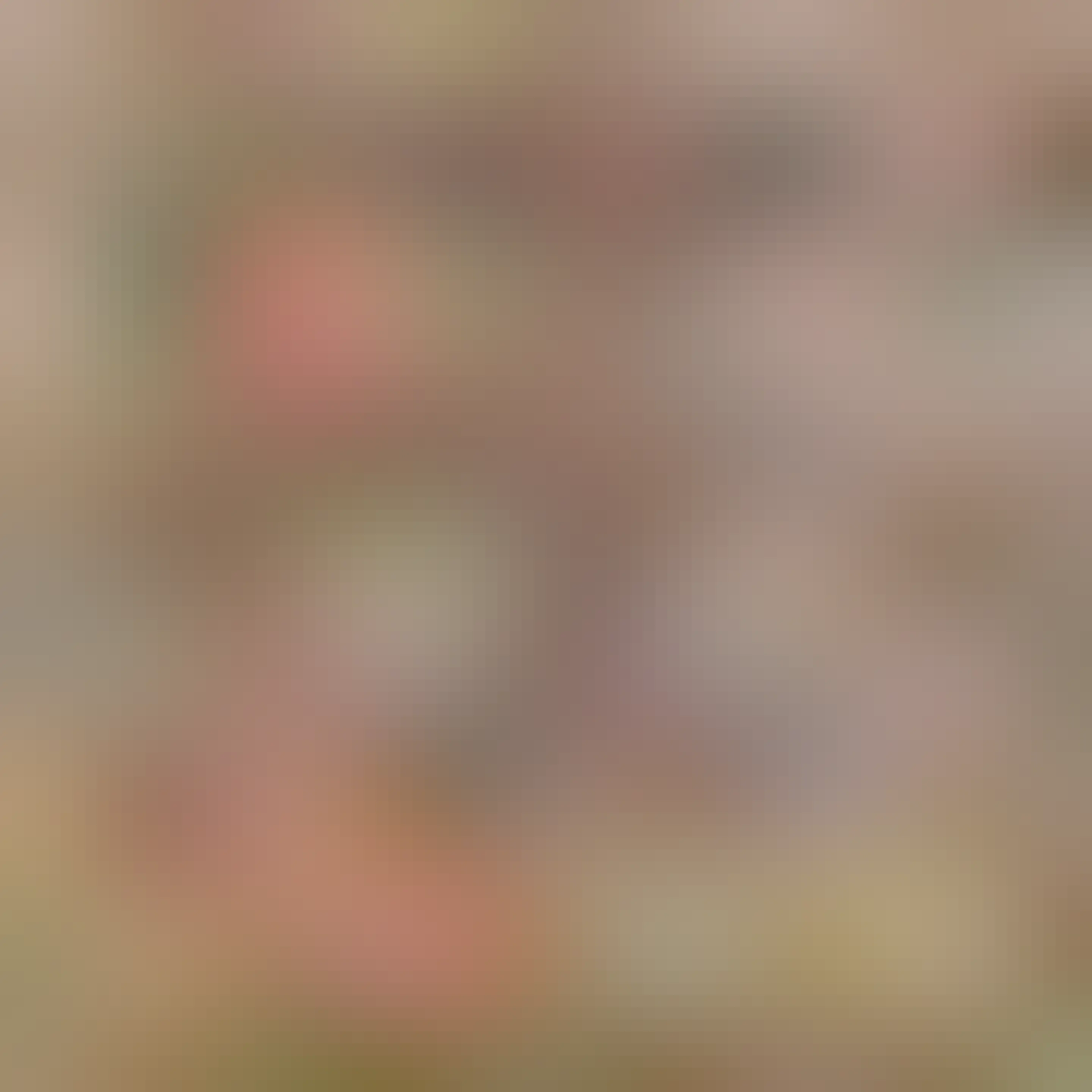 Colorful lichens, moss, foliage on a forest floor. 