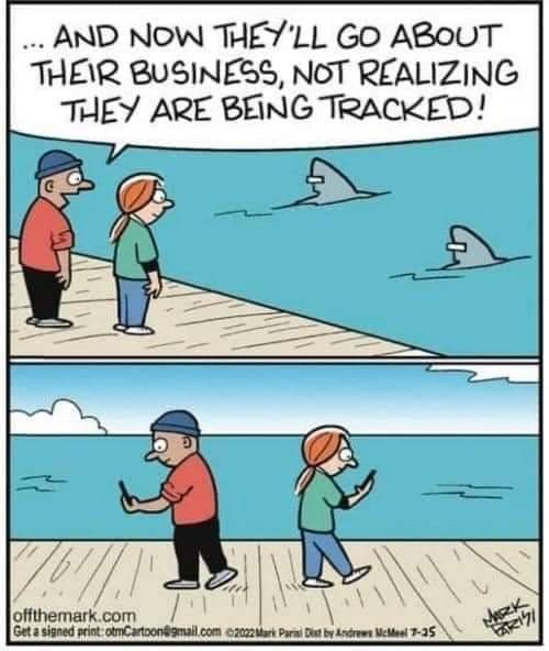 OffTheMark.com (2022)
Panel 1: two researchers after putting tags on two sharks, their fins moving away in the ocean. "... And now they'll go about their business, not realizing they are being tracked!"
Panel 2: same two researchers departing holding and looking at their smart phones.