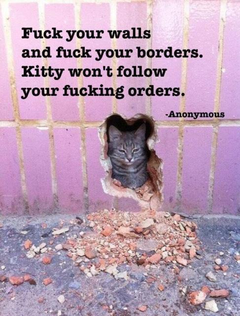 Cat breaking through a wall below some text:

Fuck your walls
and fuck your borders.
Kitty won't follow
your fucking orders.
-Anonymous