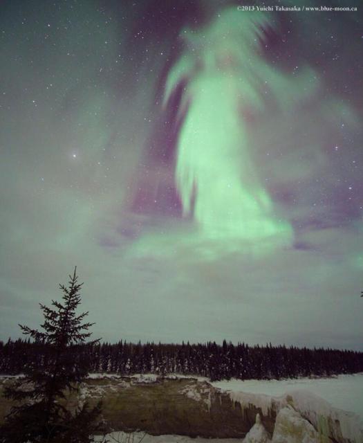 A landscape is pictured with snow and a line of evergreen trees. In the sky is a field of stars but also notable green aurora.