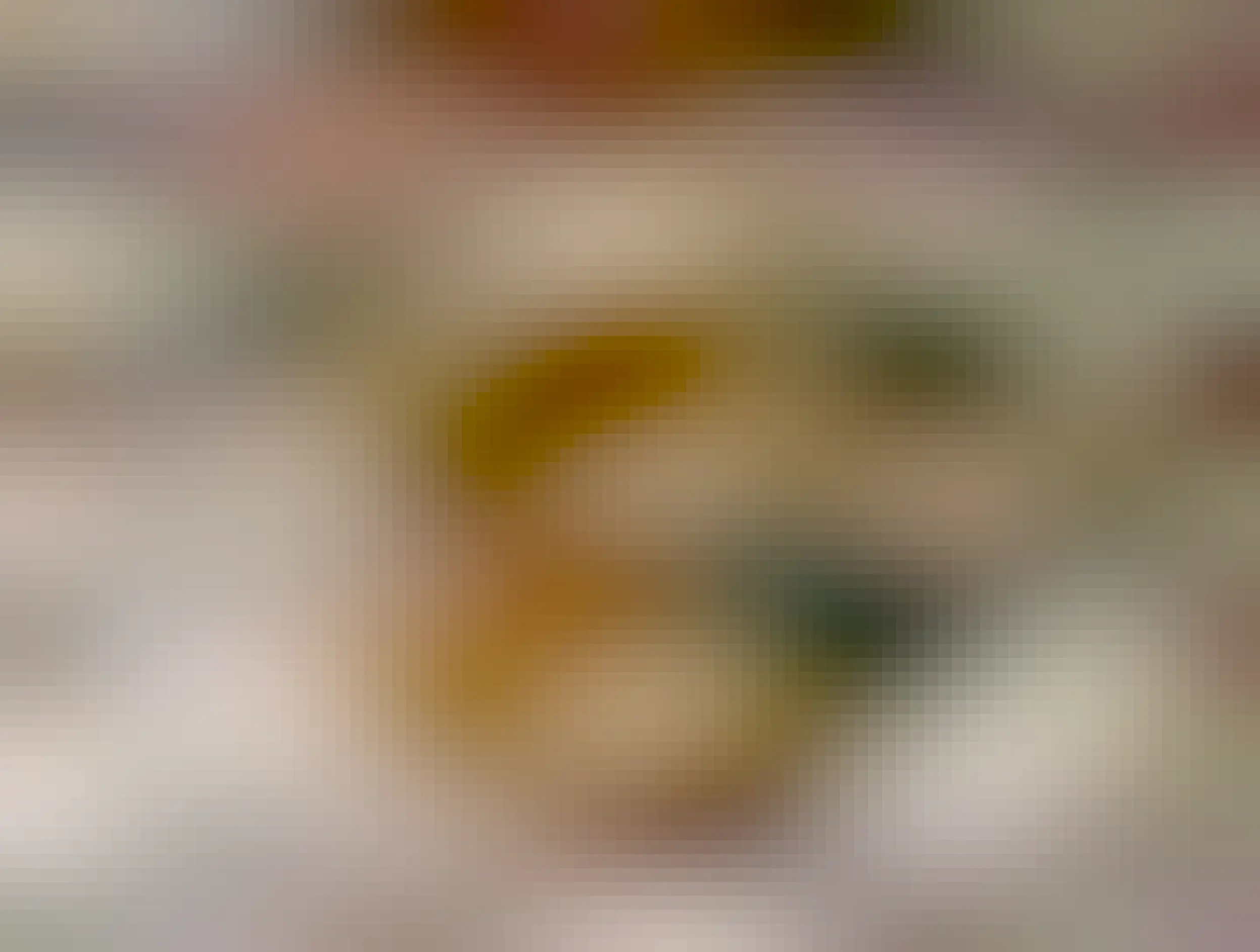 arroz con gandules, habichuelas guisadas, picadillo, side salad with poppy seed dressing. 