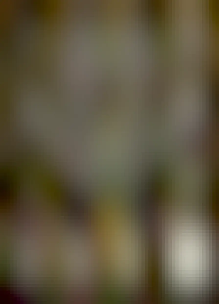 A flyer for the art launch, with an image of a river under a bridge and a man and dog from an old etching. It reads:

we proudly invite you to an evening of new research, song, short story and art from above and below the waters of the poulaphuca reservoir

by writer Robert Barrett and visual artists Saidhbhín Gibson and Margaret O'Brien

thurs, october 26th 2023 blessington library, 6pm-8pm

free entry