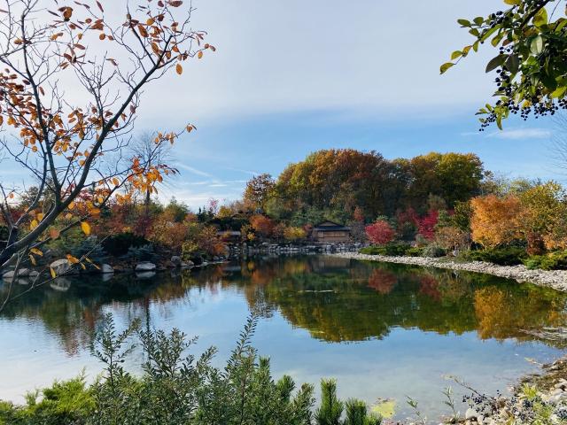 Autumn scene at Meijer Gardens.