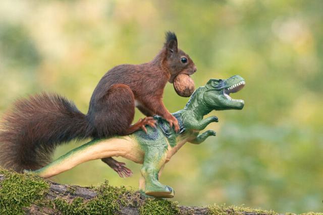 squirrel and dinosaur