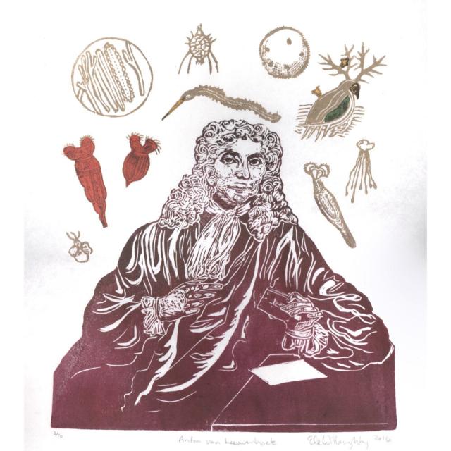 My linocut portrait of van Leeuwenhoek in burgundy wearing a wig, narrow moustache, loose robe and neck scarf, holding his invention, a microscope. He’s surrounded by his microscopic observations, “animacules”, blood vessels and more, in gold, orange, green and yellow.