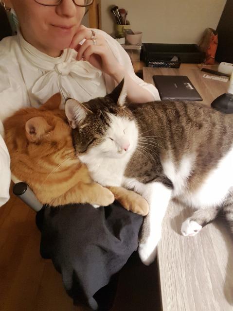 A cute low quality photo of two cats doing their best to sleep on Sini's lap at the same time. An orange large looking ginger tabby cat is properly on her lap, and a white and brown tabby cat is leaning onto him and squishing him with his larger and softer bulk, half on the human lap and half on the desk. The ginger tabby has his face smushed into the neck fluffies of the brown one. They are both asleep and look happy and relaxed. There is just the edge of Sini's smile in the frame. She is wearing a white shirt with a bow at the neck. There are makeup brushes in the very back.