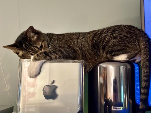 A tabby cat laying on both a G4 Cube and a Trashcan Mac Pro with his head disappearing behind his paw on the Cube