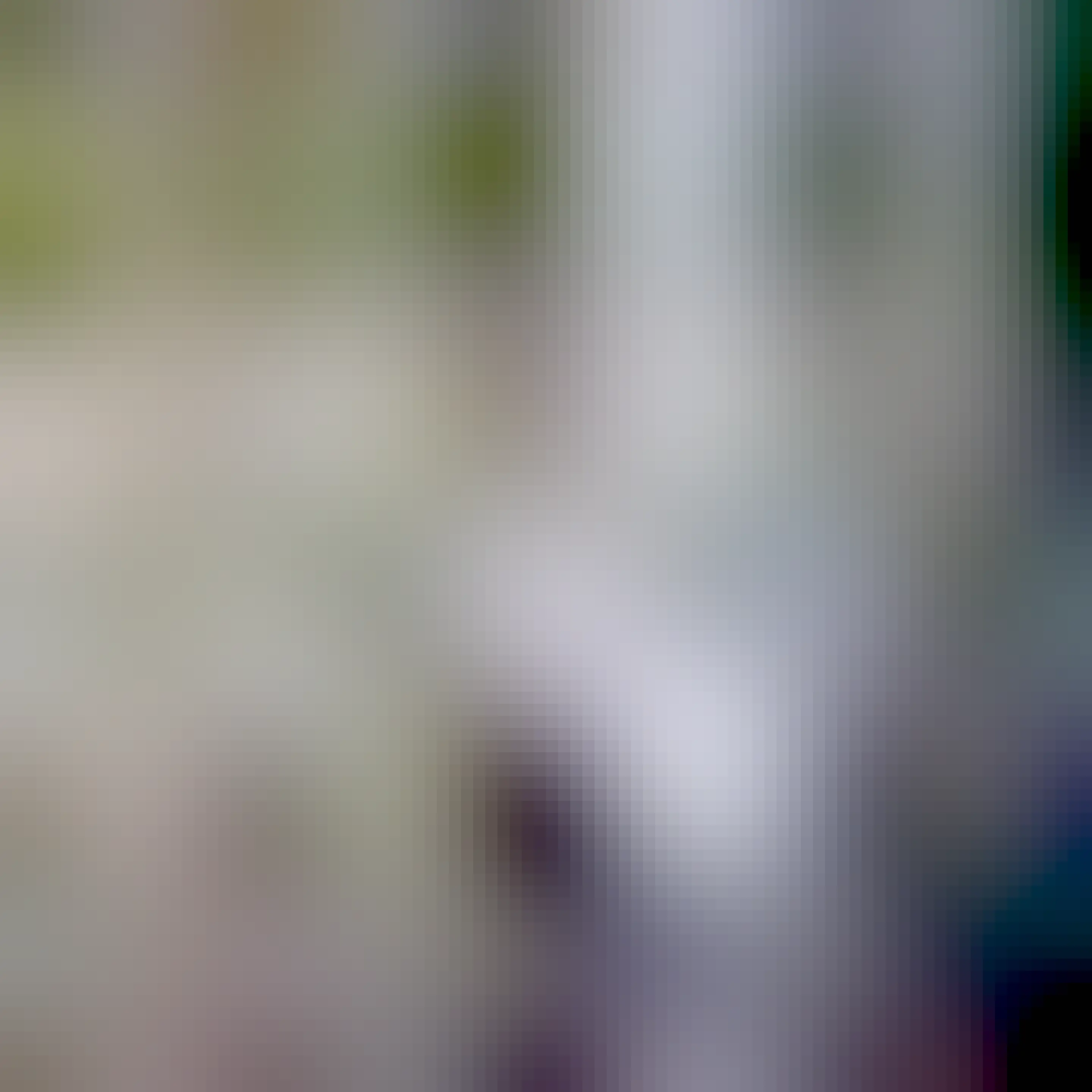 A calico cat sitting on the window sill, outside, looking towards my door. Photo made through the window in the door. 