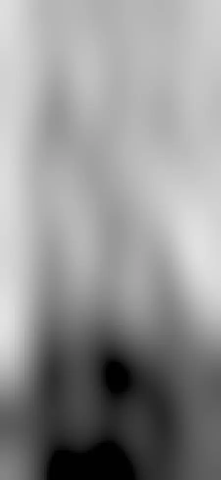 The gemwaith (jewellers) in Caernarfon. An usually narrow corner building with a round, pointed tower.