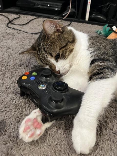 davesprite the cat is laying on the floor with an xbox 360 controller in his paws. he looks somewhat tired or sad.