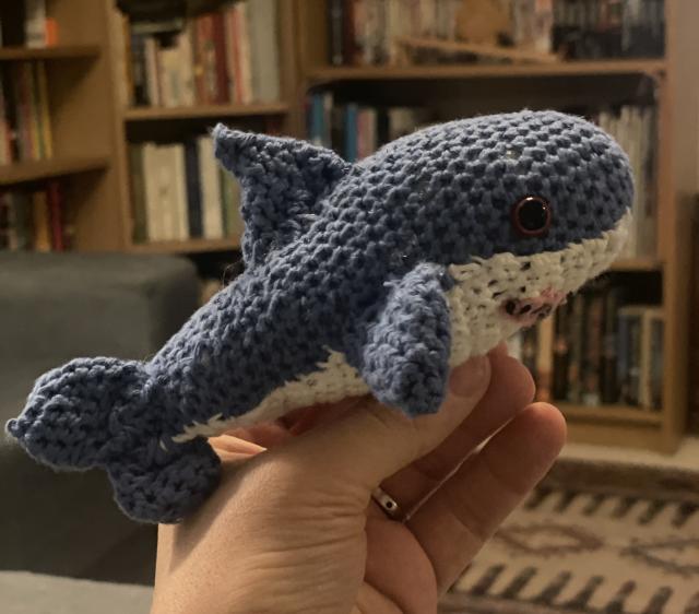 Small crochet shark with blue dorsum, white below, and pink mouth. Sat on my hand.