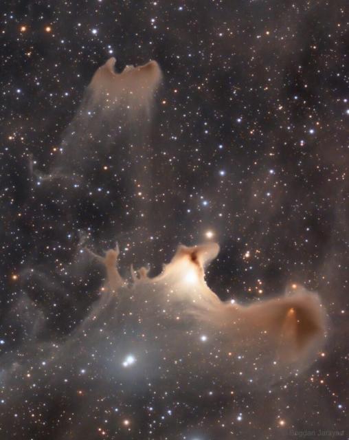 A dark starfield is shown with several brown nebulas. Many of the nebulas appear to have unusual shapes, with one possibly resembling a bat, while other may resemble people.