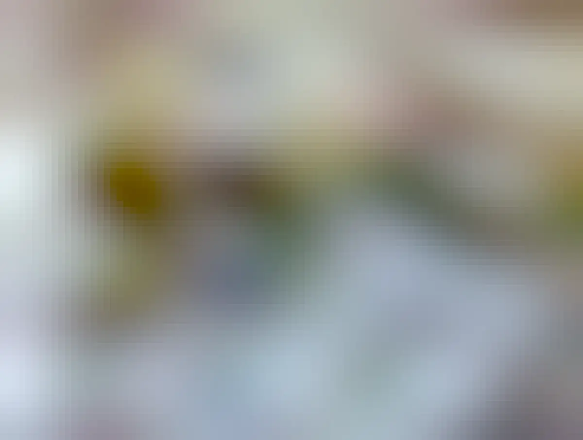 Three colourful snails on a rock. The middle one has a left coiling shell.