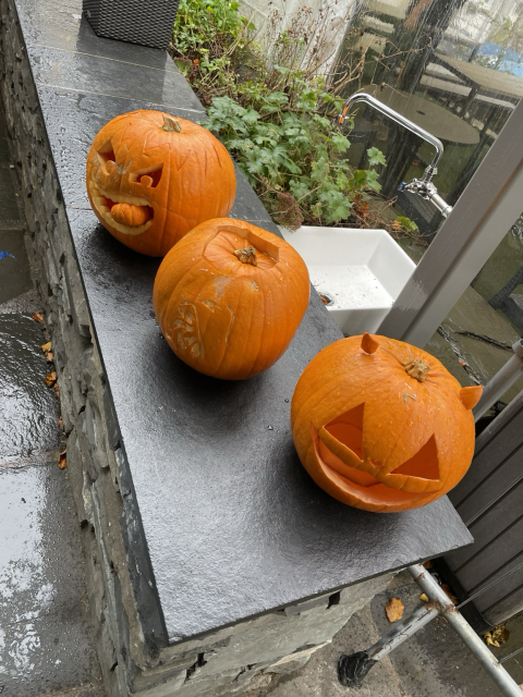 3 orange carved pumpkins on grey stone in rainy weather. 