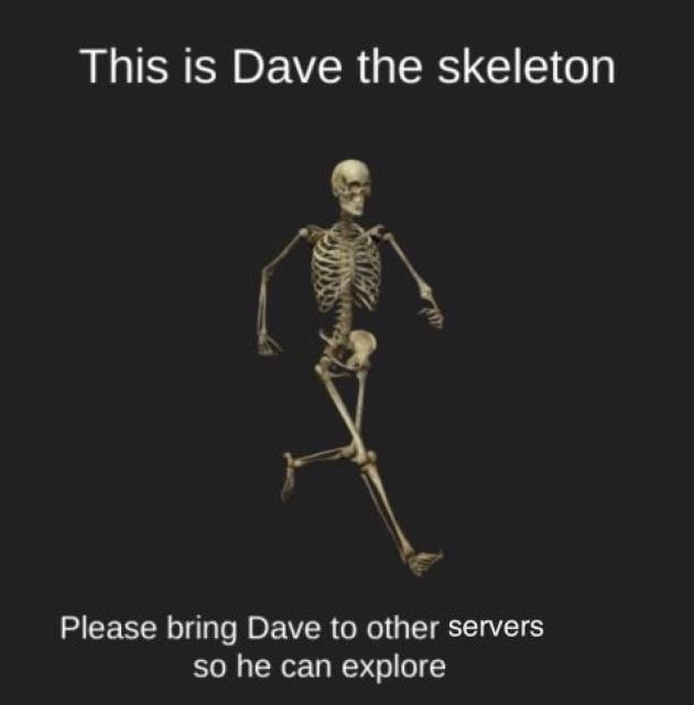 This is Dave the skeleton

[picture of Dave the skeleton]

Please bring Dave to other servers so he can explore