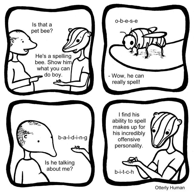 Person 1: Is that a pet bee?
Person 2: He's a spelling bee. Show him what you can do boy.
Bee: o-b-e-s-e
Person 1: Wow, he really can spell!
Bee: b-a-l-d-I-n-g
Person I: ...is he talking about me?
Person 2: I find his ability to spell makes up for his incredibly offensive personality.
Bee: b-i-t-c-h
