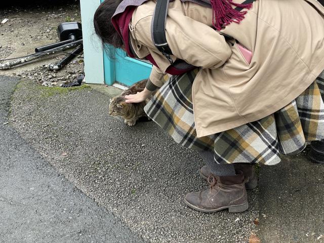 Said tabby cat being pet by my wife. 