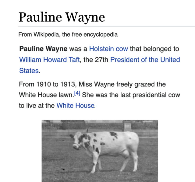 Pauline Wayne was a Holstein cow that belonged to William Howard Taft, the 27th President of the United States. From 1910 to 1913, Miss Wayne freely grazed the White House lawn. She was the last presidential cow to live at the White House.