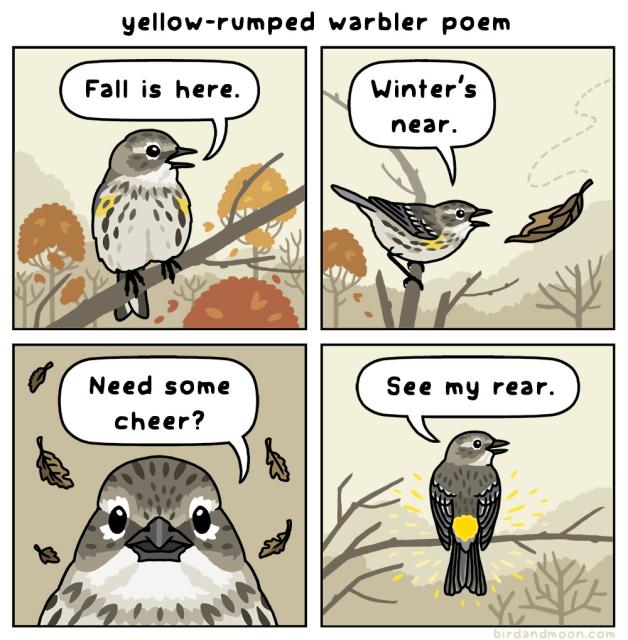 A four-panel comic titled "yellow-rumped warbler poem". In panel 1, a yellow-rumped warbler stands on a branch in a late autumn scene, and says "Fall is here." In panel 2, the warbler watches a brown leaf fall to the ground, and says "Winter's near." In panel 3, the warbler faces the viewer as brown leaves fall, and says "Need some cheer?" In panel 4, the warbler is showing its luminous yellow rump, and cheerfully says "See my rear."