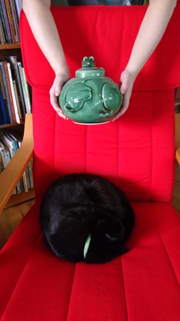 Large black cat, curled into a ball, sleeping on his head in a bright red armchair.  Above him, two arms hold a green pottery vase, carved to look like a cat sleeping on its head.