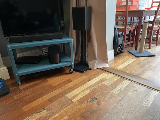 Tiny kitty face peeking out from curtain next to speaker and tv trolley