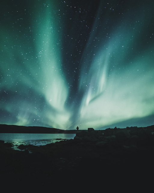 person standing near body of water during aurora northern sky. Image: Luke Stackpoole via Unsplash