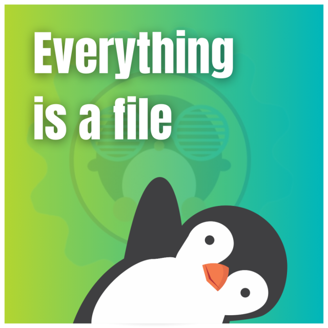 everything is a file