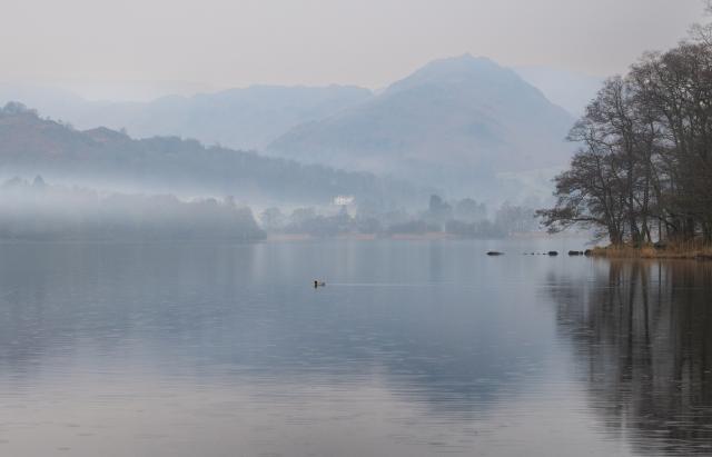 A lone duck swims out towards the centre of a lake leaving ripples in it's wake. The weather is raining with mist hanging over trees on the far side of the lake.  A white house can be seen on the far side of the lake with a noticable light in one of the windows. Behind the house a mountain fell (Holme Fell) can be made out through the mist.