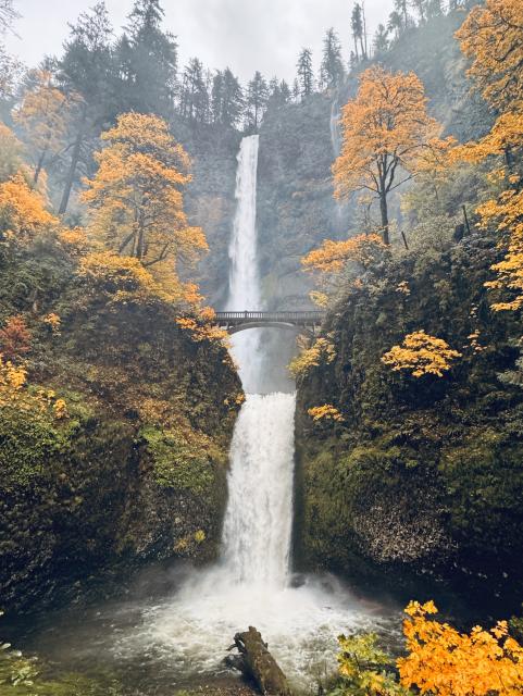 Multnomah Falls in full Fall color