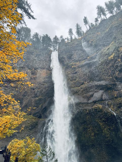 Multnomah Falls in full Fall color