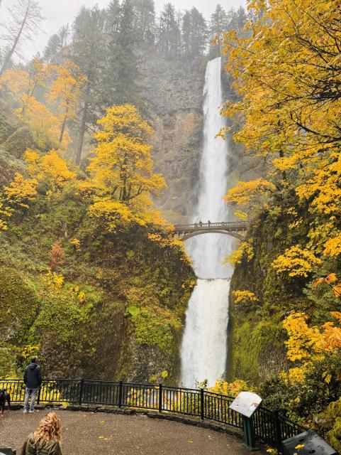 Multnomah Falls in full Fall color