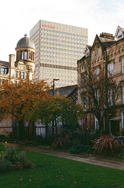 Three trees, one with orange leaves, one with green leaves, and one with almost no leaves, above green grass. Behind, an older building. To the left, an older building with a little round tower. In the background, towering above the rest, a rectangular and modern building with Arndale written on it in red.