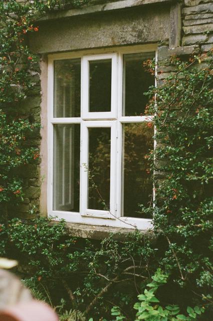 A white pane window on grey stone wall surrounded by green holly and its red berries.