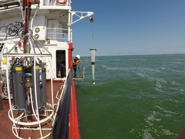 A person on a ship platform cleans a plankton net against a bright green expanse of water. A water sampling profiler sits on the deck of the ship. The CCGS Limnos on Lake Erie.
Photo by Fisheries and Oceans Canada, CC BY 2.0