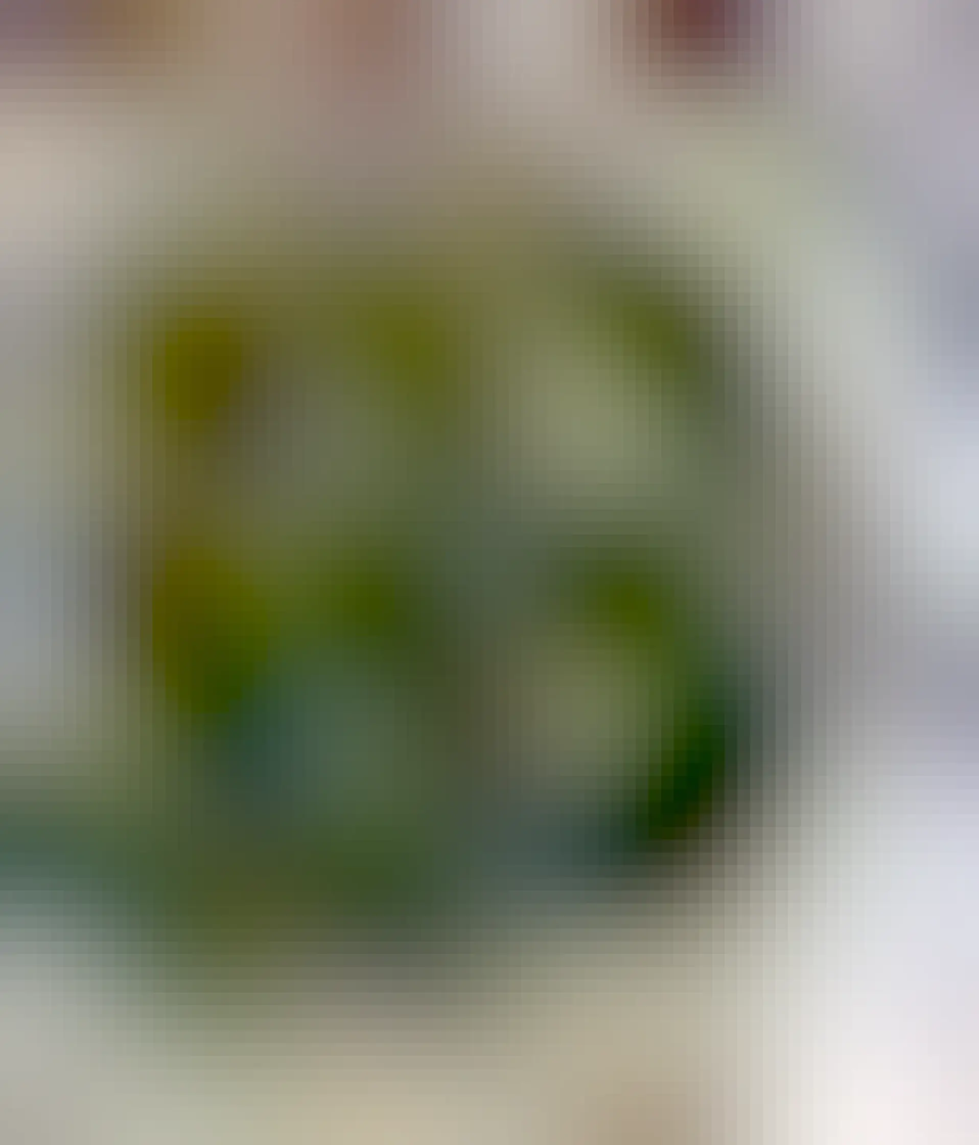 Bright green goo of a thick zooplankton sample scooped on a spoon.
Photo Fisheries and OceansCanada, CC BY 2.0