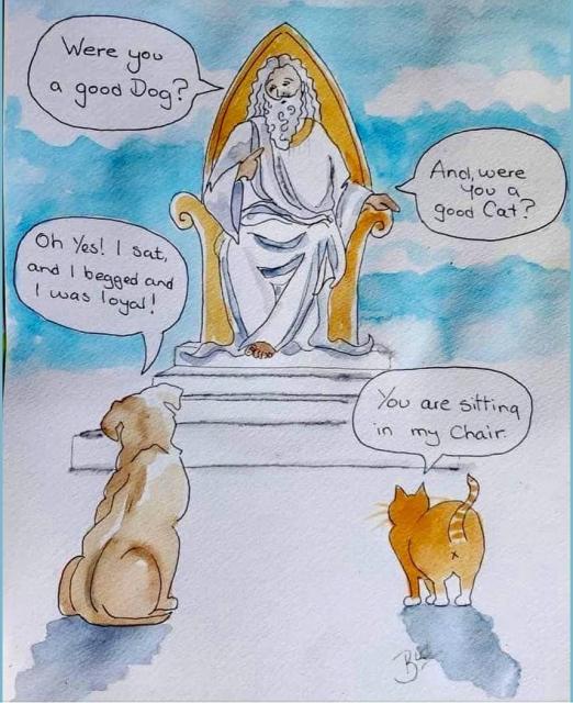 dog is god's friend; god is cat's servant;