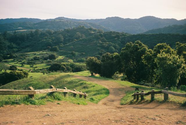 Verdant landscape with a descending path and wooden railing in the foreground, trees in the middleground, and green hill in the background. 