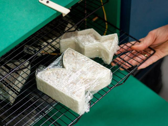 mycelium-filled moulds in our fermenter