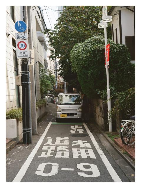 A kei truck in a narrow alleyway, with bushes that look like they're about to smother it from above, and maximalistic markings on the road below.