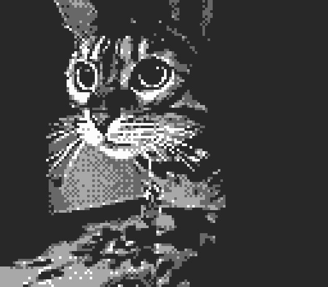 Miracle shot of a cat emerging out of the shadow in pixel glory