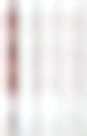 107 EUR worth of Mastodon items and 17 EUR shipping charge