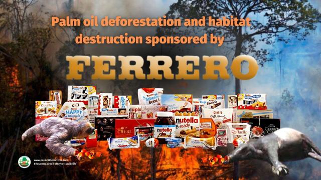 Pictured: Ferrero logo surrounded by products and a crying orangutan and dead wild animals in a setting of palm oil ecocide. 


Did you know that #Nutella contains forest-destroying #palmoil? Become a Palm Oil Detective this #Christmas and buy #chocolatespread #peanutbutter #margarine free from #palmoil as #Mondelez #Nestle #Danone cause species extinction for cooking oils! Learn more about how you can #Boycottpalmoil #Boycott4Wildlife https://palmoildetectives.com/2021/02/11/palm-oil-free-cooking-oil-margarine-and-spreads/ via @palmoildetect
