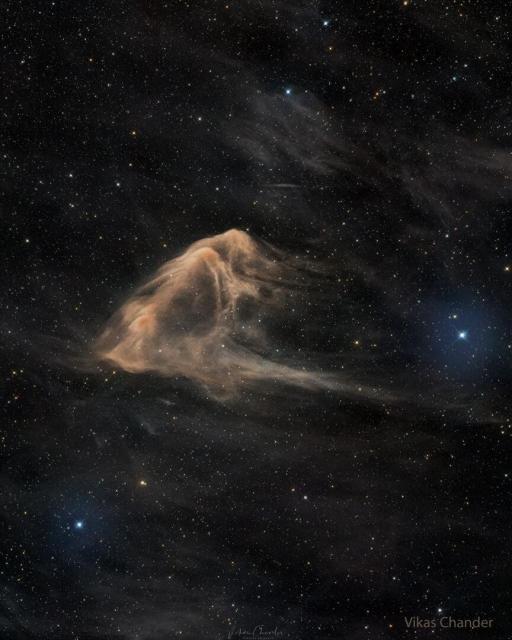 A light brown nebula is seen on a dark starfield. The outline of the nebula makes it appear like an eagle ray fish.