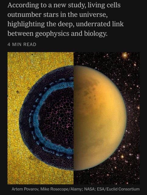 NYT story teaser, explaining that there are more living cells on earth than stars in the universe, with an image juxtaposing the sun and a cell.