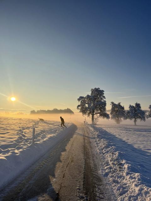 Current view at home. Street cleared of snow, snow-filled fields. A man and dog in the snow, three trees behind which is the rising sun over a blue sky. 
(Photo taken by my youngest daughter.)
