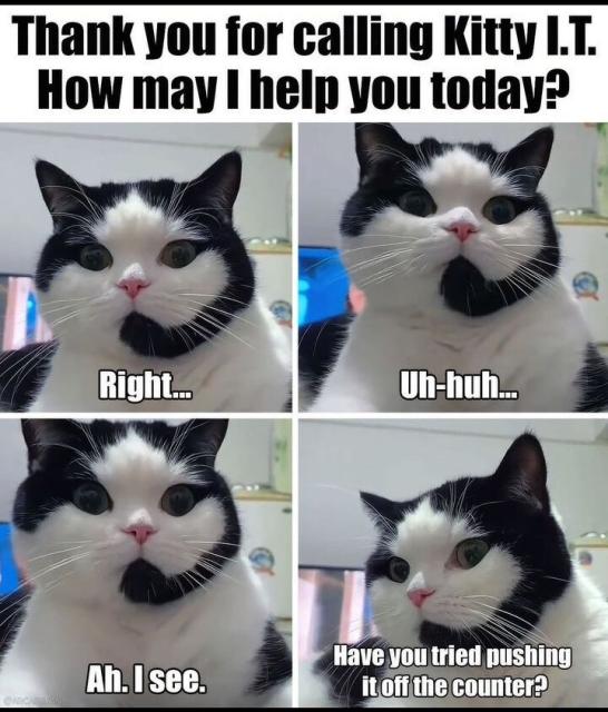 Four panel helpdesk meme of a white cat with a black marking that looks like a head set 

"Thank you for calling Kitty I.T. How may I help you today?

Right... Uh-huh... Ah. I see. Have you tried pushing it off the counter? "