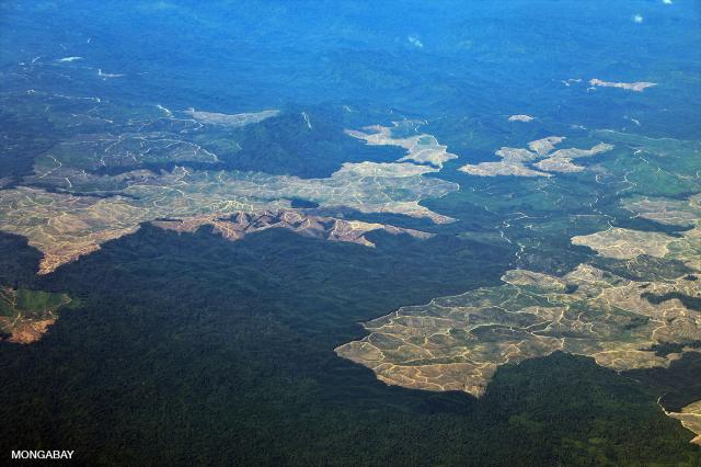 Deforestation in East Kalimantan for oil palm plantations. Image by Rhett A. Butler / Mongabay.