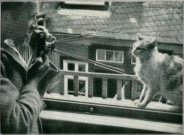 A photographer holds a Leica with a BOOWU copy stand sticking out the front, positioning the legs so they form/delineate a frame around a cat's head. The cat looks surprisingly non-plussed.