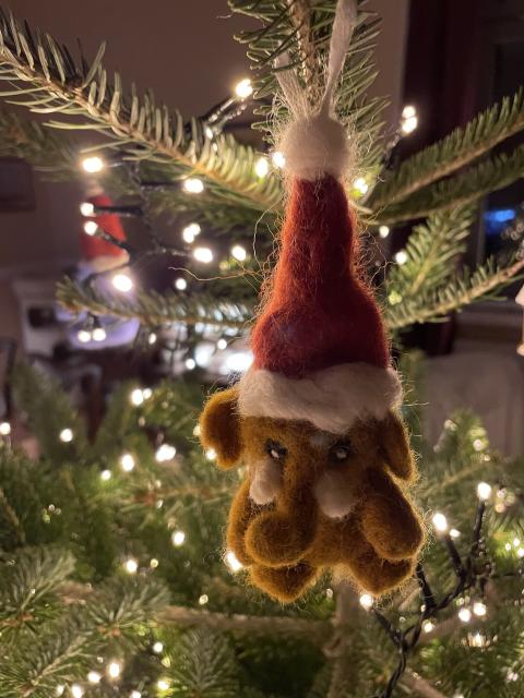 A brown felt Mastodon in a red Santa hat hanging from a natural Christmas tree illuminated by pleasantly warm white fairy lights. 
